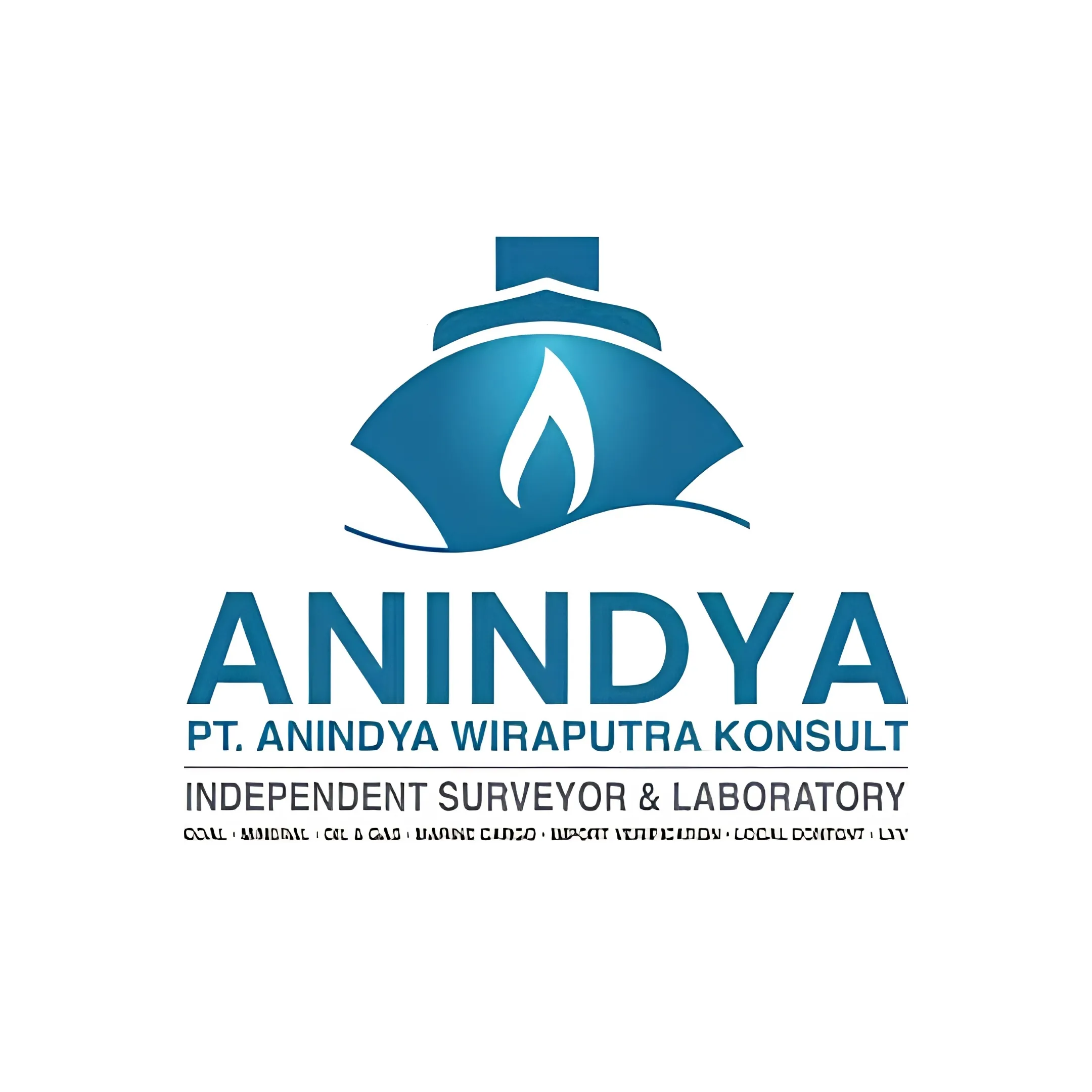 PT. Anindya Wiraputra Konsult